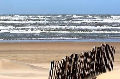 شقة Amsterdam زاندفورت