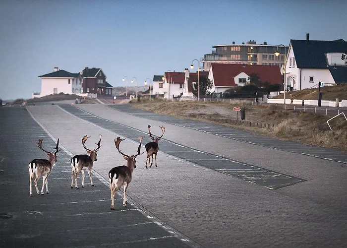 شقة Amsterdam زاندفورت