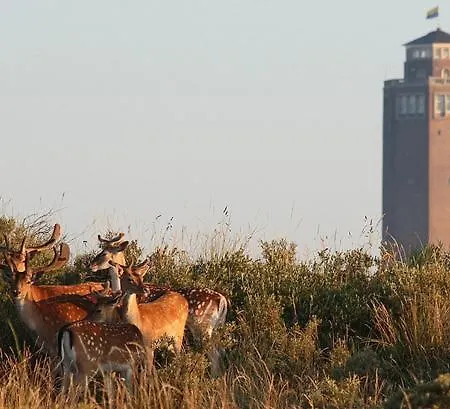 Amsterdam Zandvoort