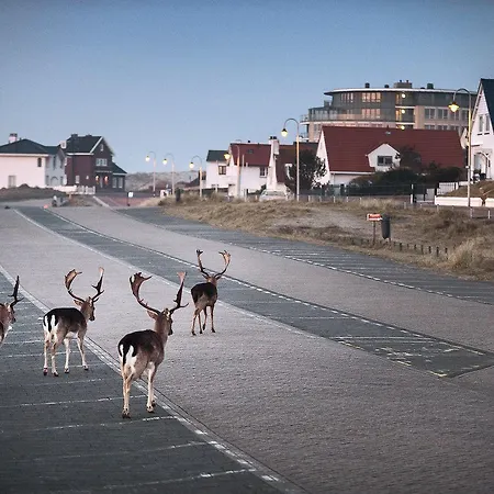 Appartamento Amsterdam Zandvoort